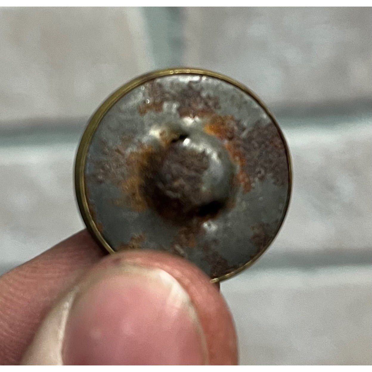 1904 Theodore Roosevelt Campaign Clothing Button Teddy Bear 7/8"