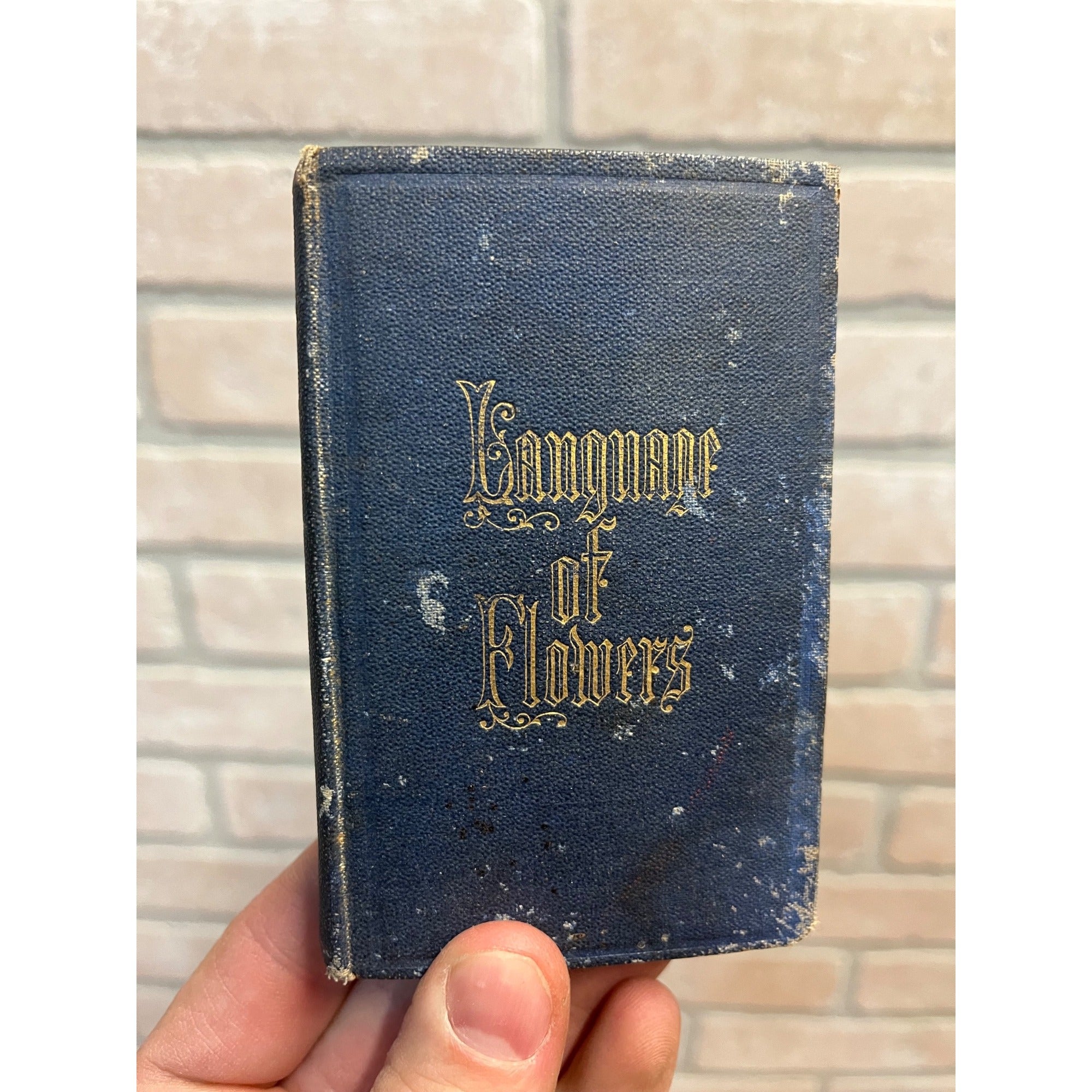 The Language of Flowers Poetically Expressed 1847 Antique Flower Language Book