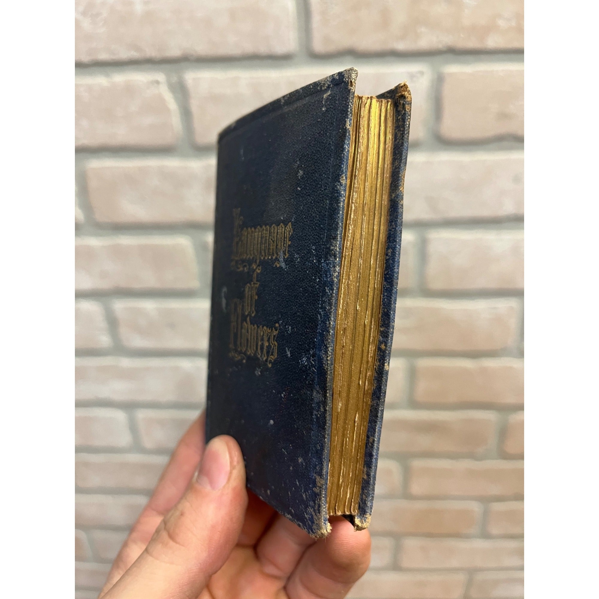 The Language of Flowers Poetically Expressed 1847 Antique Flower Language Book