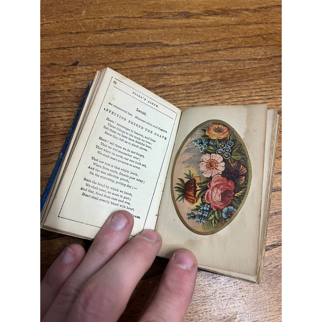 The Language of Flowers Poetically Expressed 1847 Antique Flower Language Book