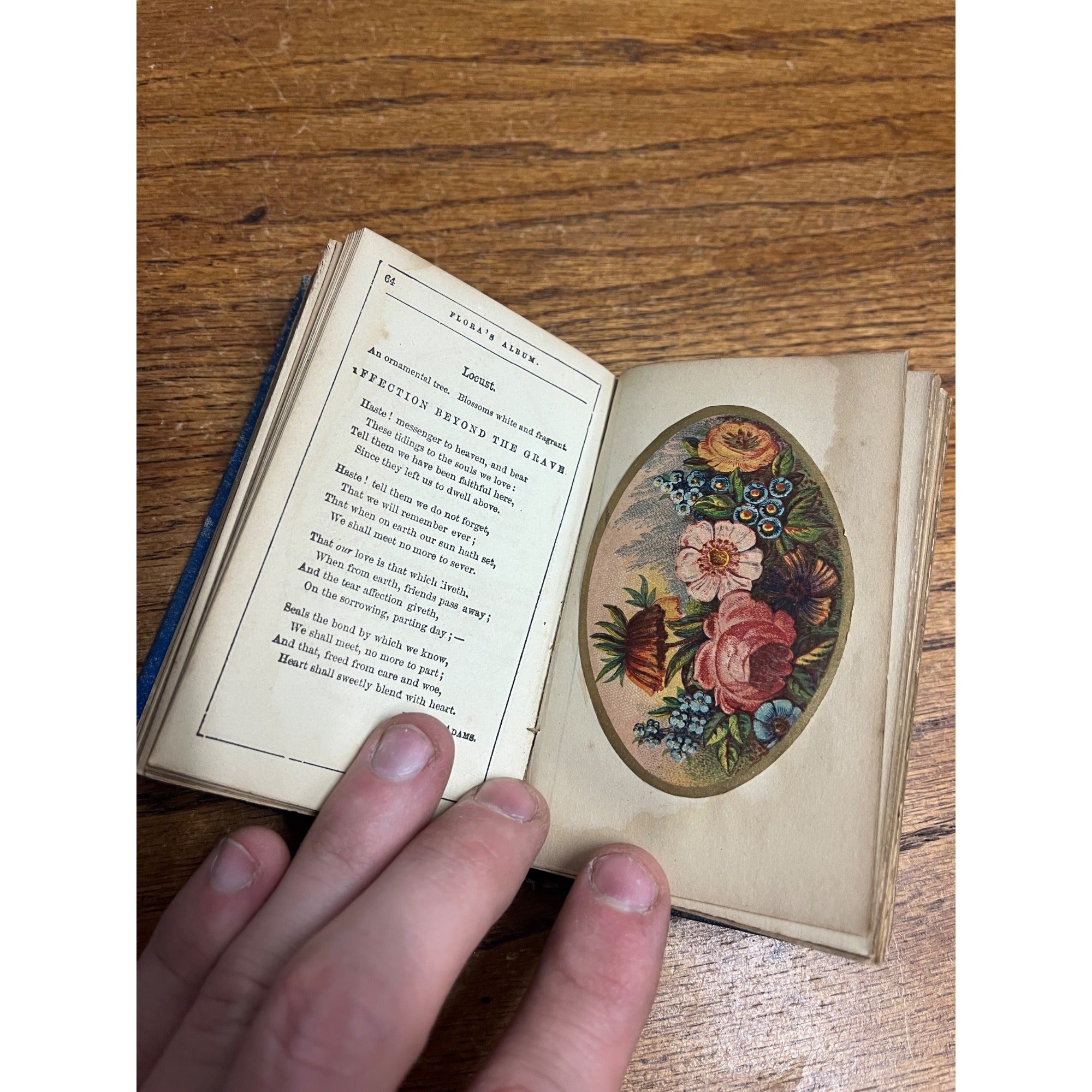 The Language of Flowers Poetically Expressed 1847 Antique Flower Language Book