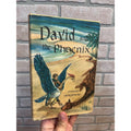1958 David and the Phoenix By Edward Ormondroyd Hardcover Book Antique Vintage