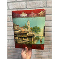 Antique Victorian Cabinet Photo Album Celluloid Cover w/ Photographs