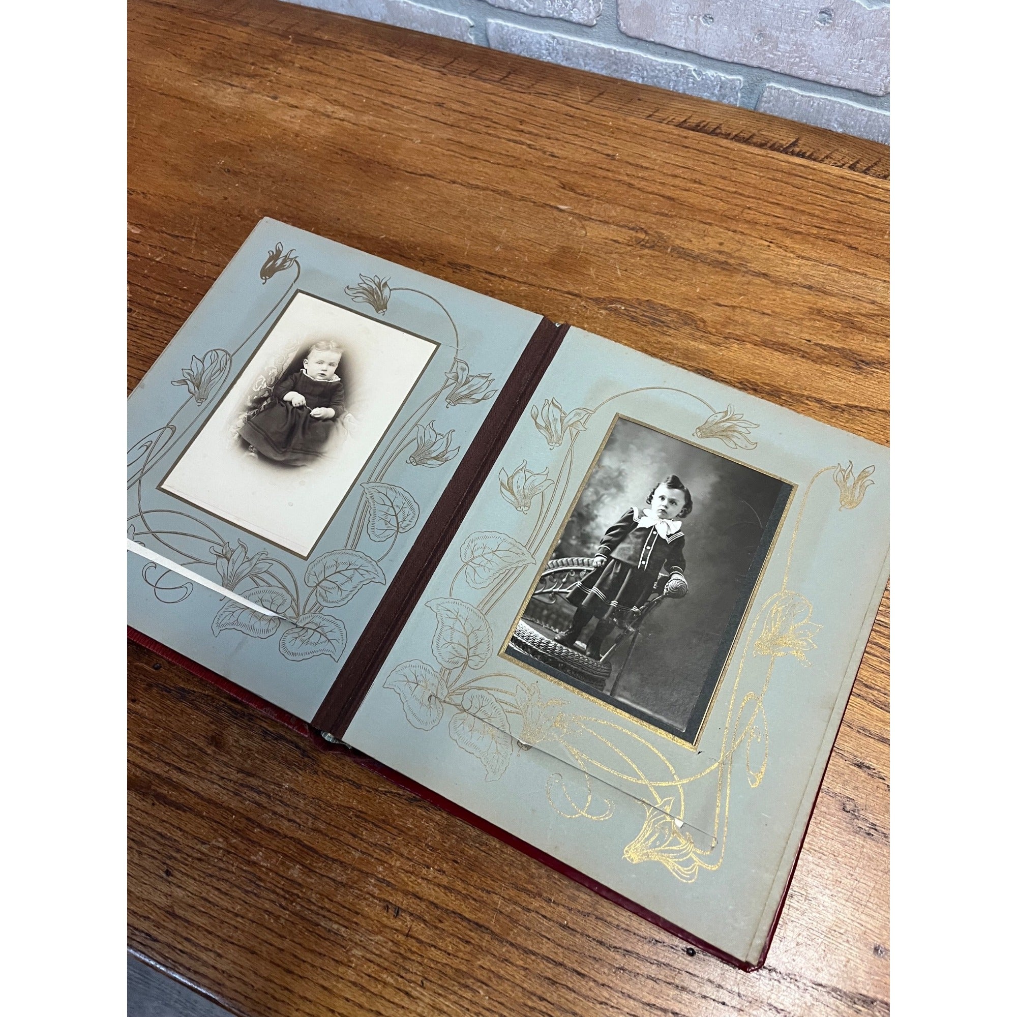Antique Victorian Cabinet Photo Album Celluloid Cover w/ Photographs