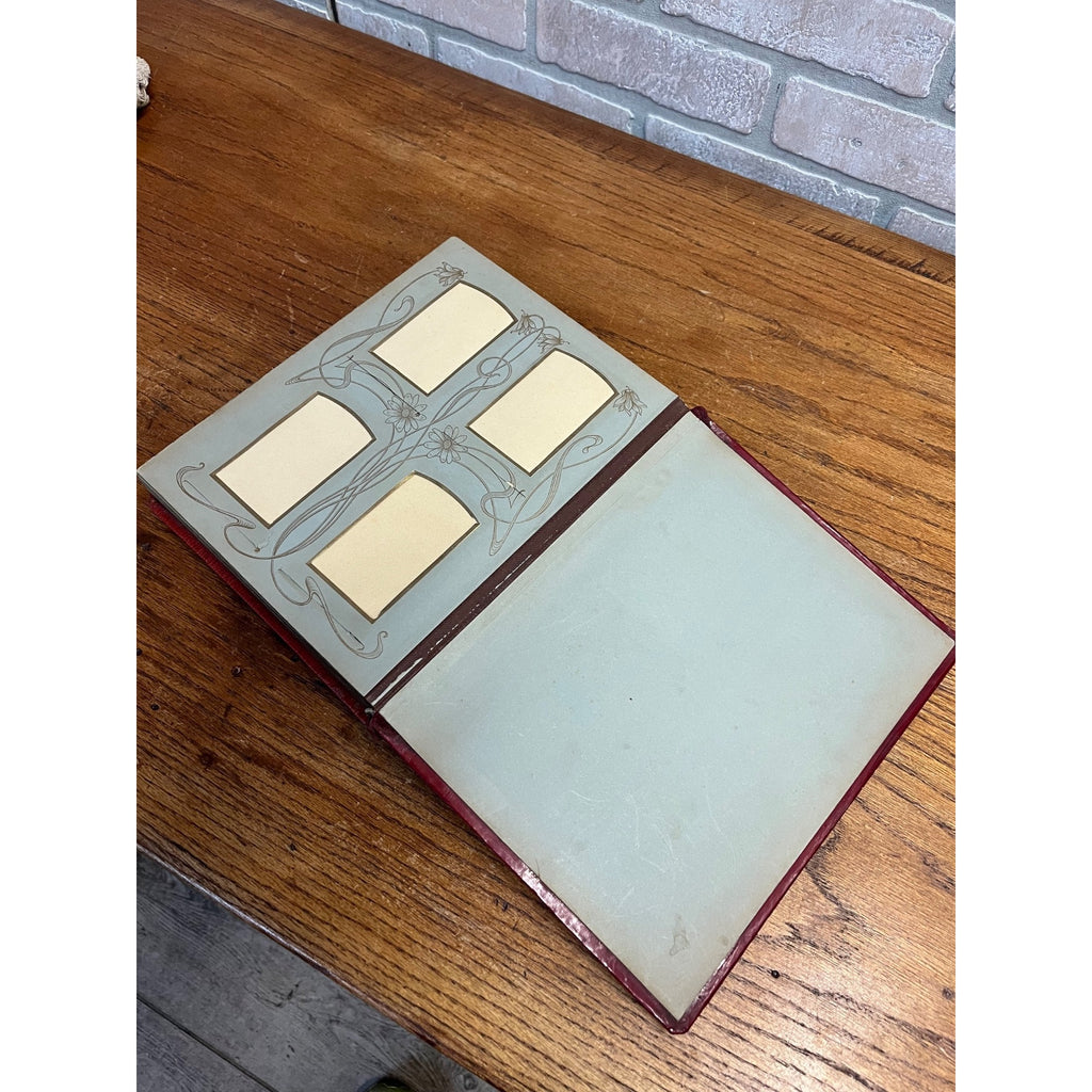 Antique Victorian Cabinet Photo Album Celluloid Cover w/ Photographs