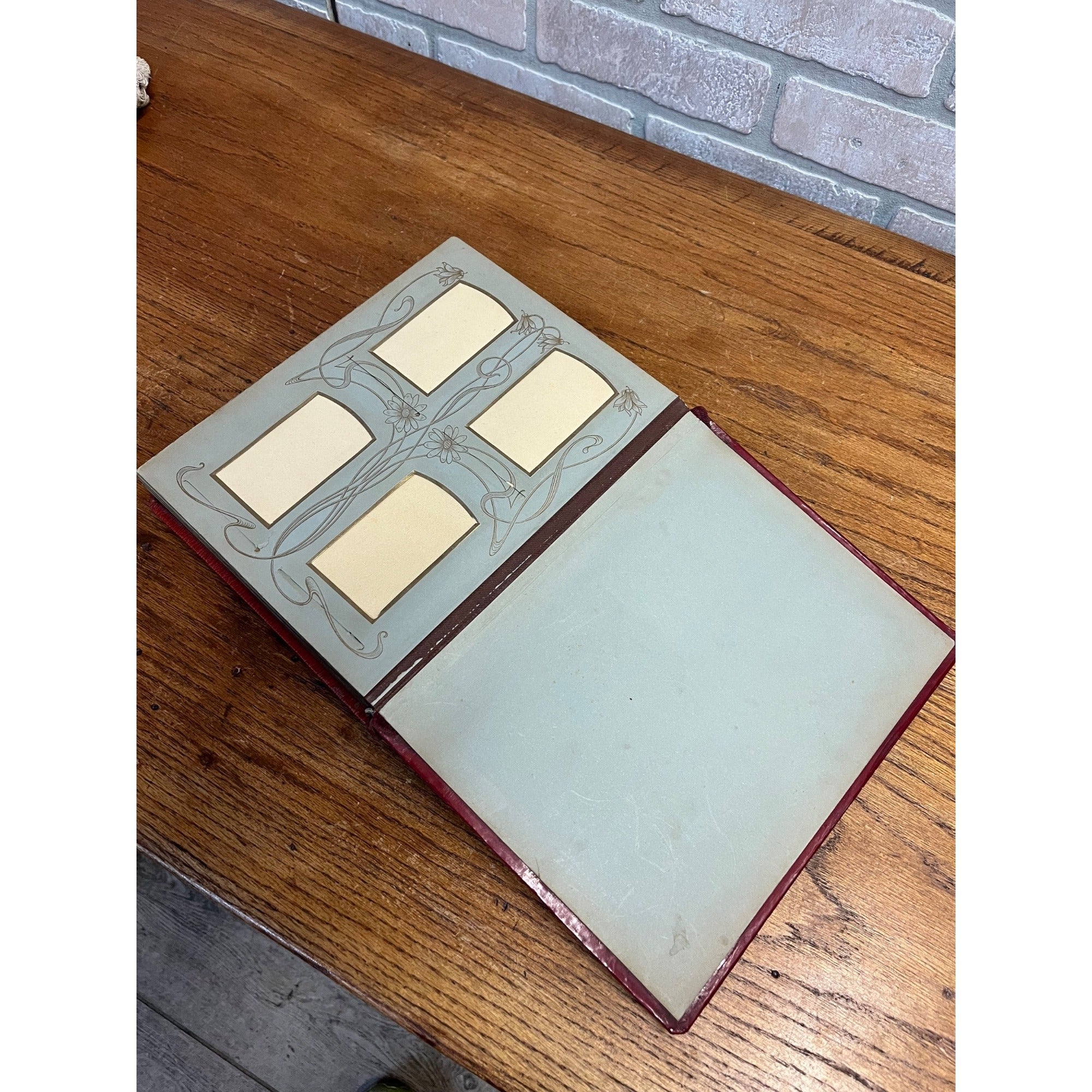 Antique Victorian Cabinet Photo Album Celluloid Cover w/ Photographs