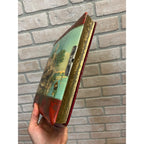 Antique Victorian Cabinet Photo Album Celluloid Cover w/ Photographs