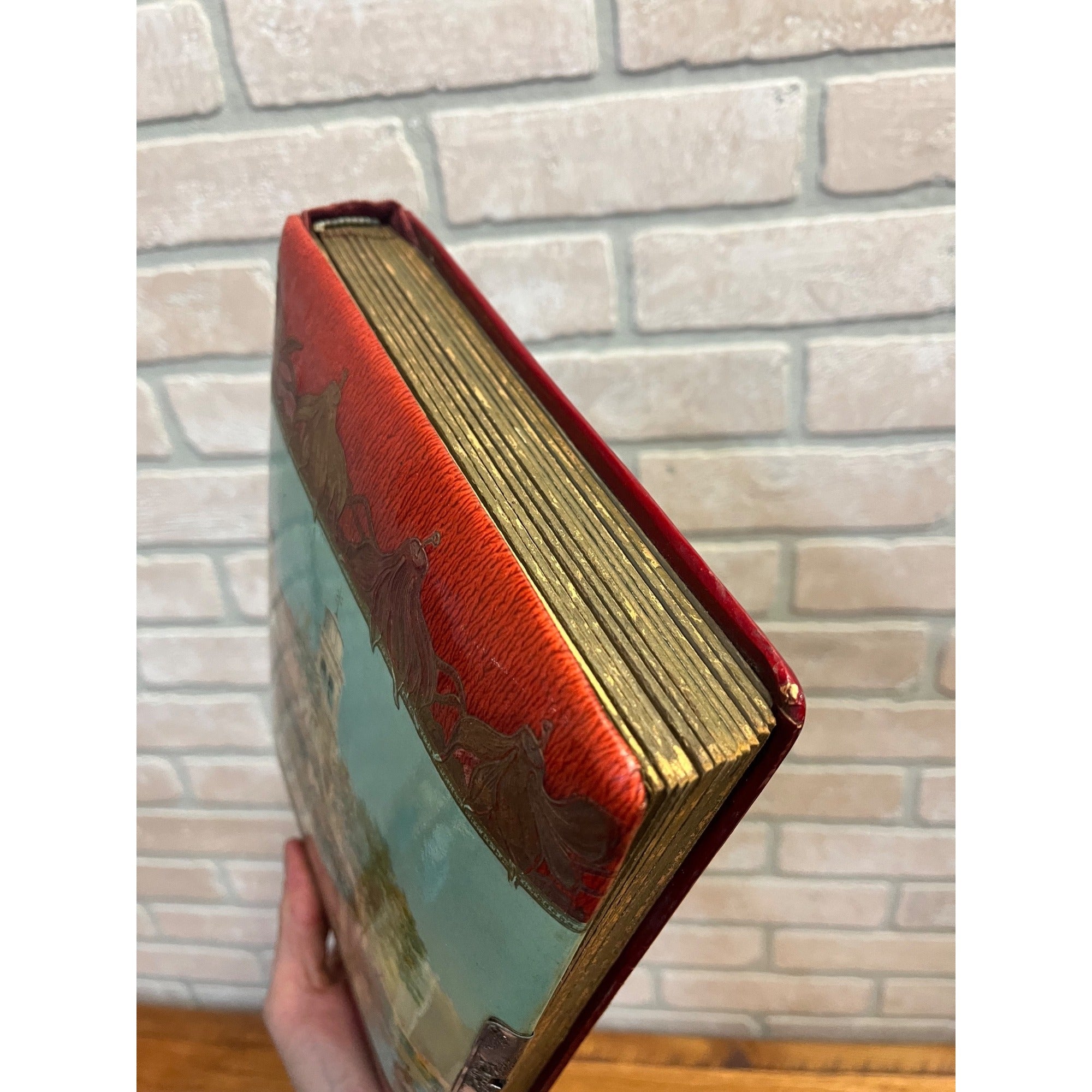 Antique Victorian Cabinet Photo Album Celluloid Cover w/ Photographs