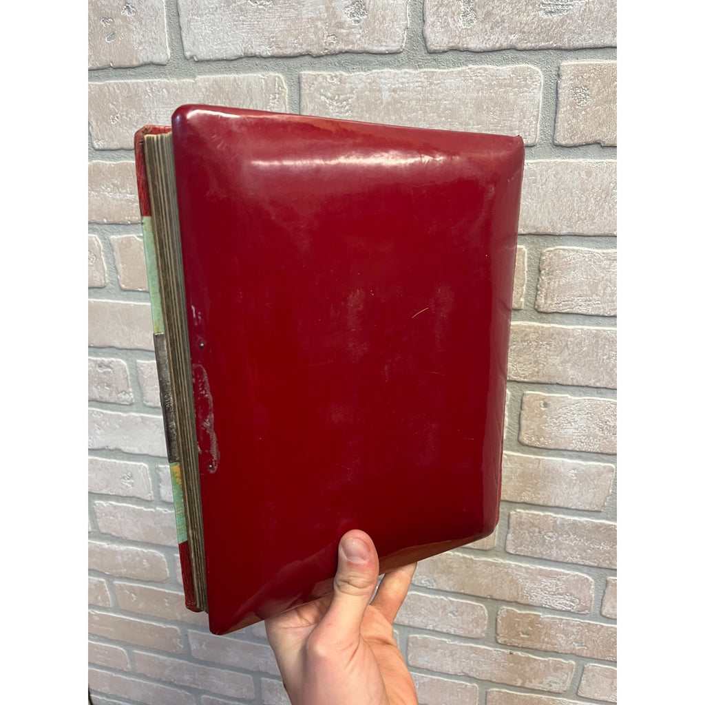 Antique Victorian Cabinet Photo Album Celluloid Cover w/ Photographs