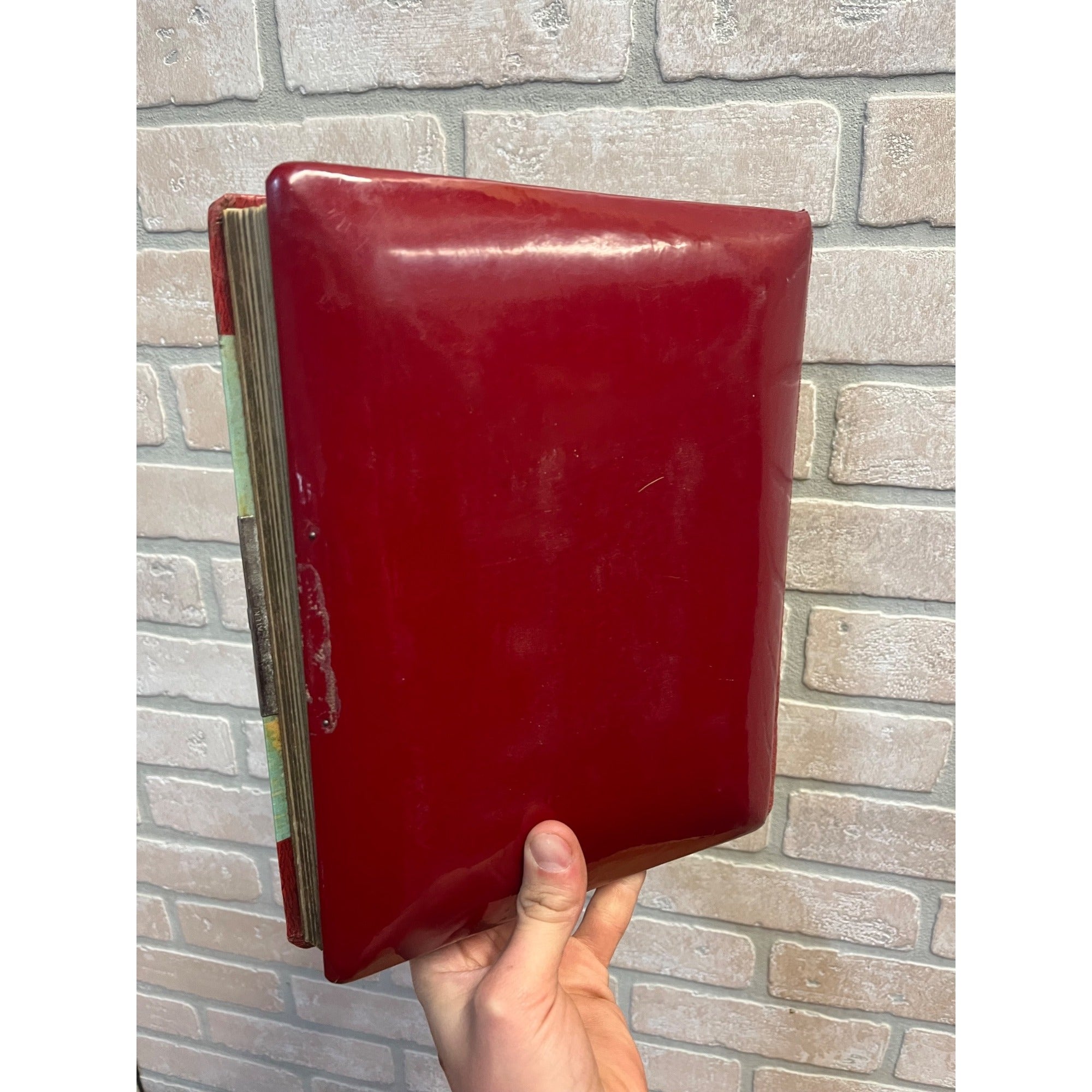 Antique Victorian Cabinet Photo Album Celluloid Cover w/ Photographs