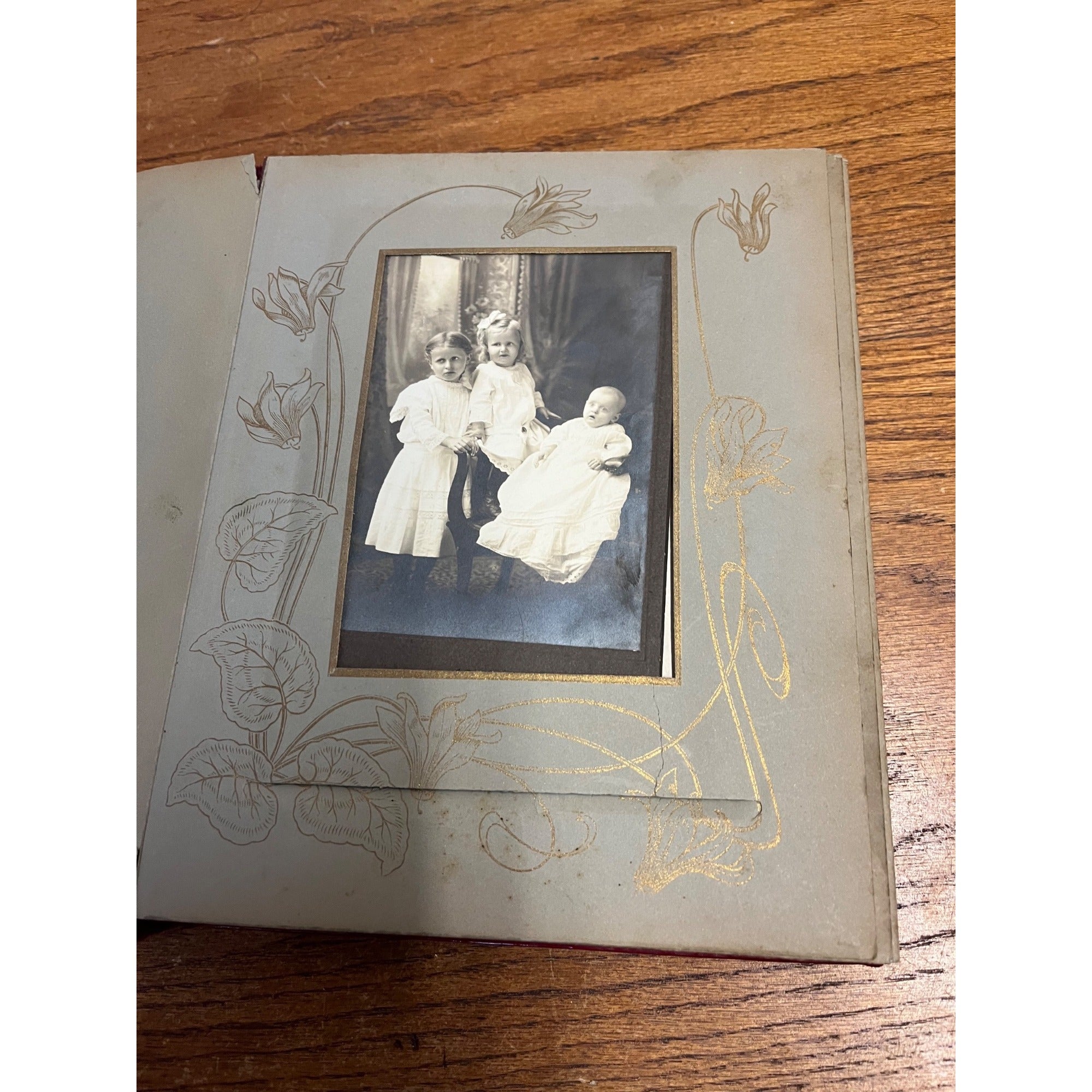 Antique Victorian Cabinet Photo Album Celluloid Cover w/ Photographs