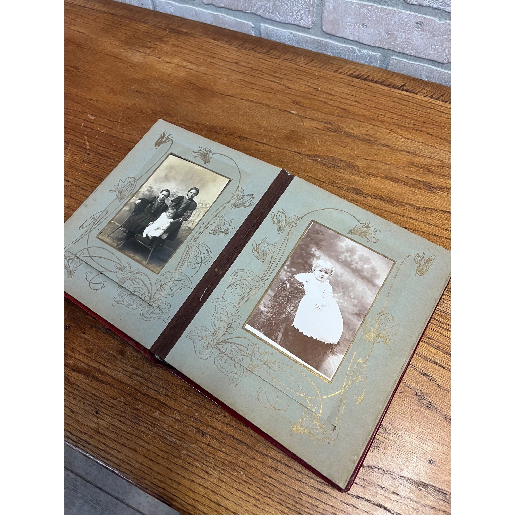 Antique Victorian Cabinet Photo Album Celluloid Cover w/ Photographs