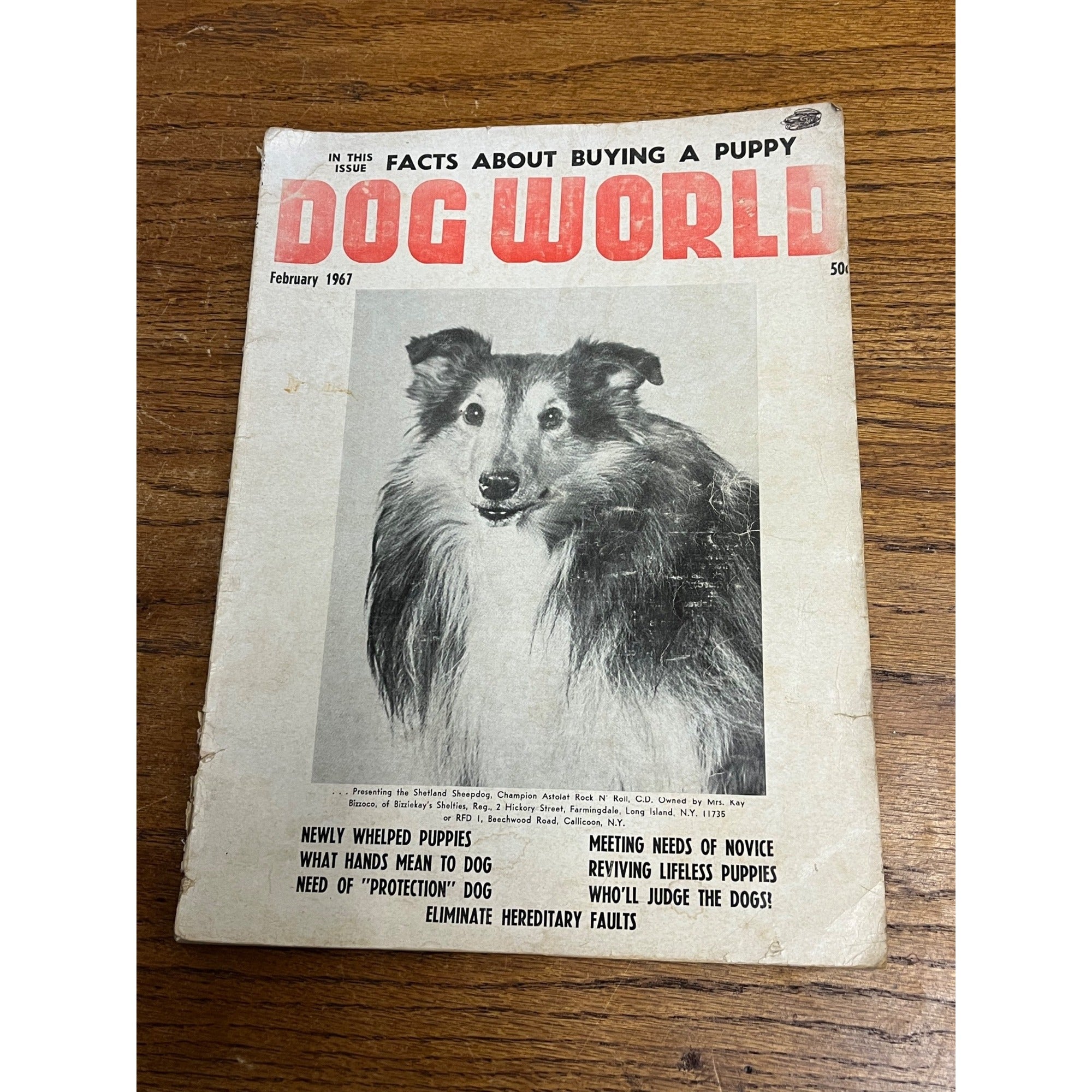 Vintage Dog World Magazine Collie Front Cover 1967 February Issue