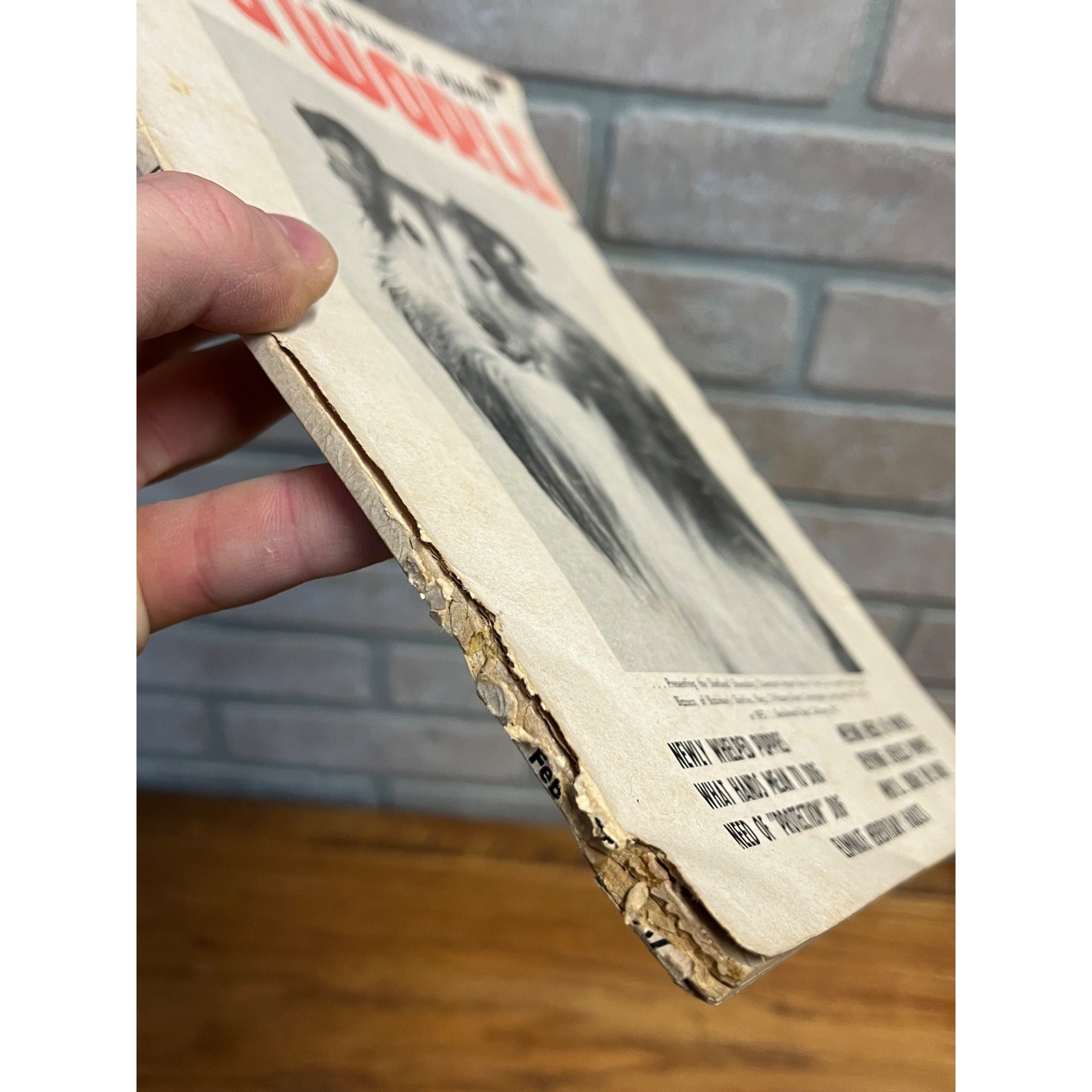 Vintage Dog World Magazine Collie Front Cover 1967 February Issue