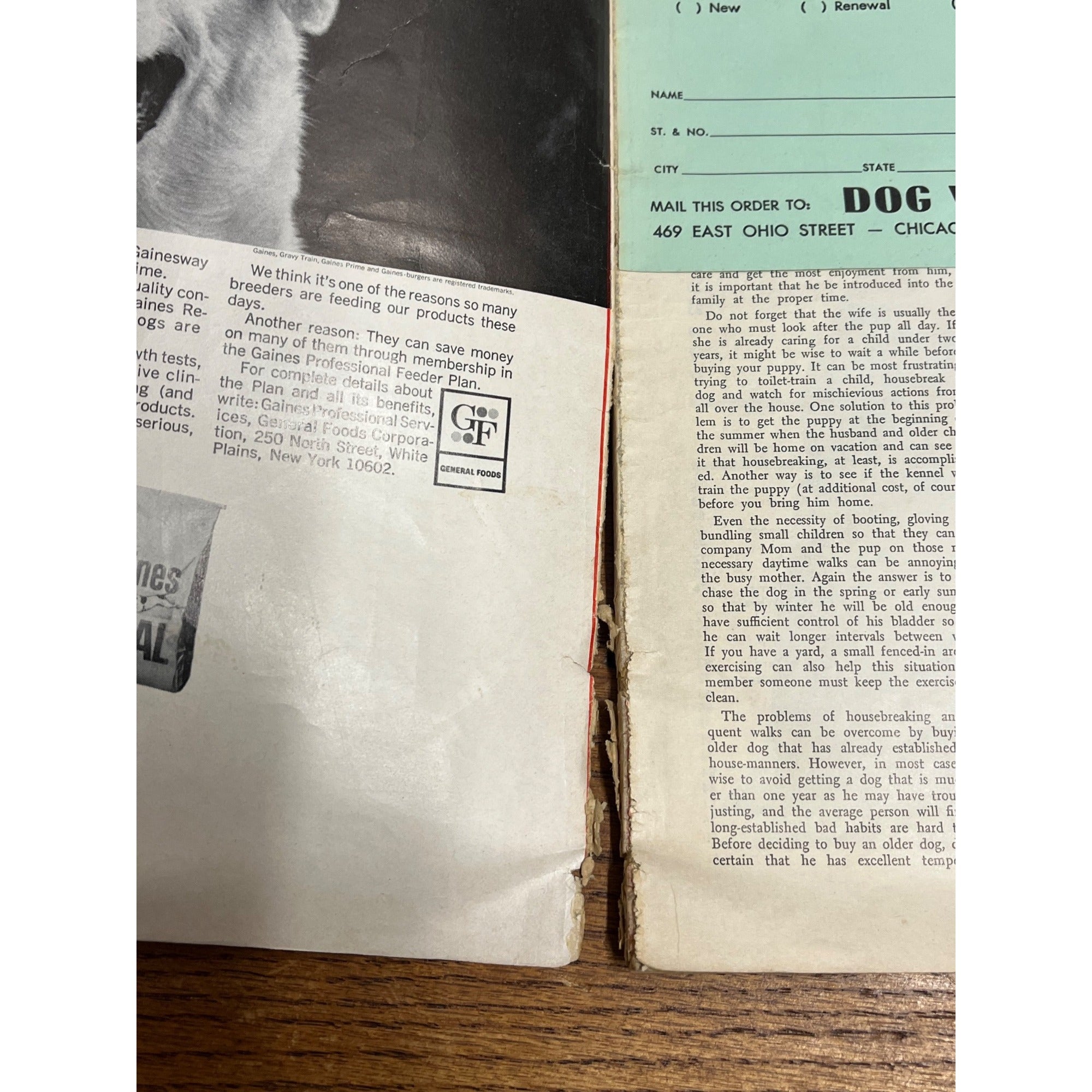 Vintage Dog World Magazine Collie Front Cover 1967 February Issue