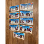 Vintage Large Lot (10) Illinois Skyline License Plates 2020s Land of Lincoln