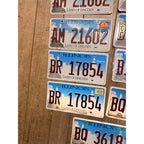 Vintage Large Lot (10) Illinois Skyline License Plates 2020s Land of Lincoln