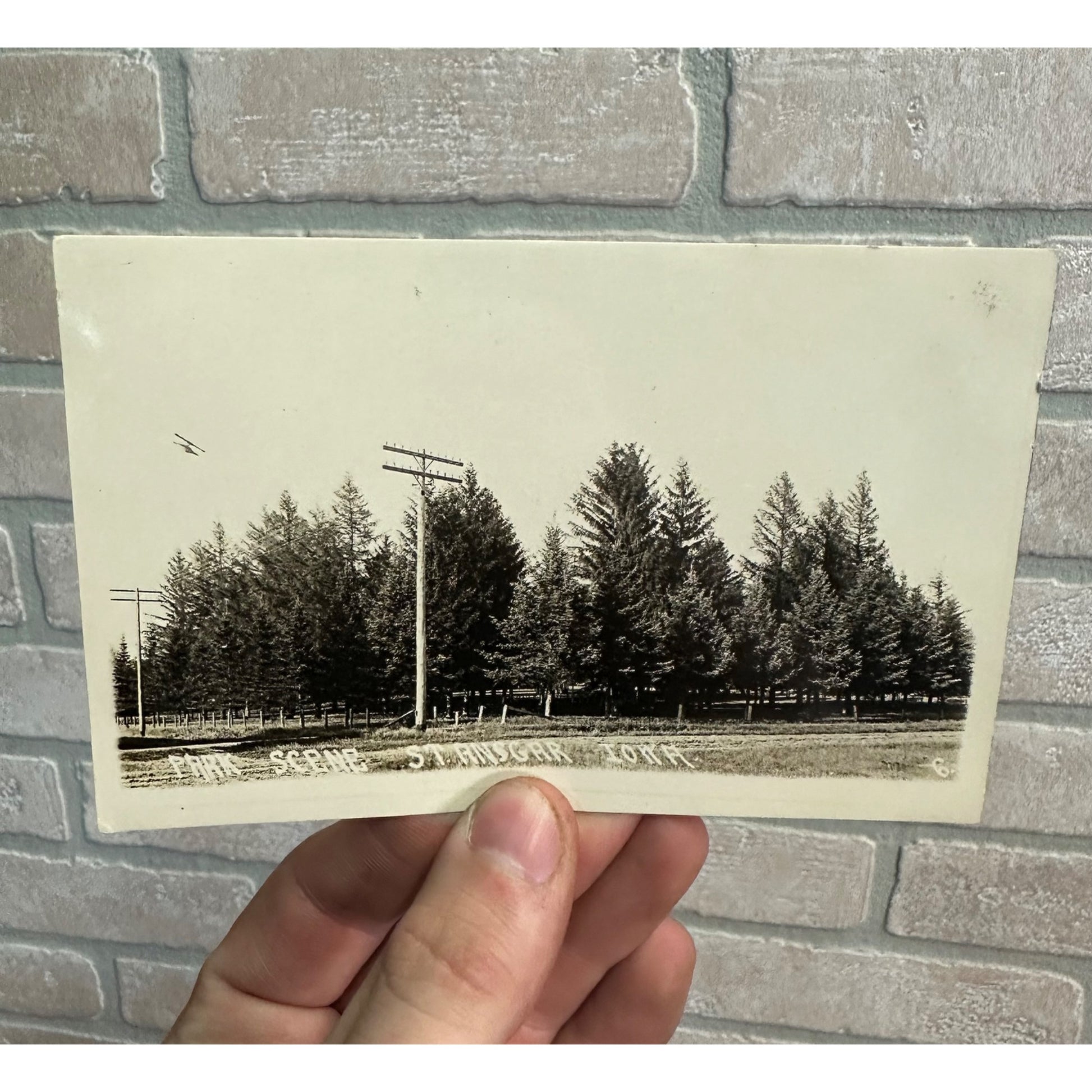 Park Scene In St. Ansgar Iowa Telephone Poles RPPC Real Photo Postcard