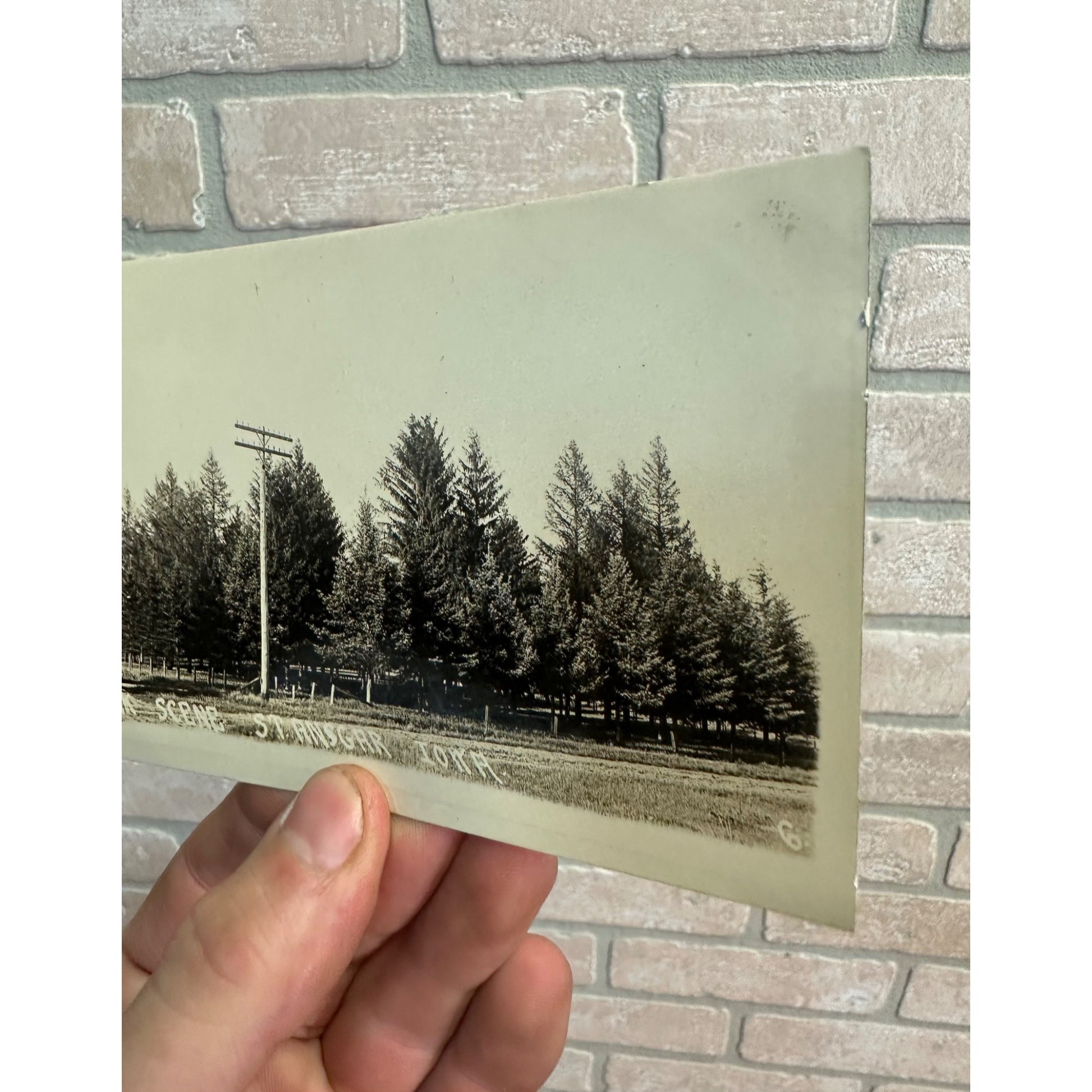 Park Scene In St. Ansgar Iowa Telephone Poles RPPC Real Photo Postcard