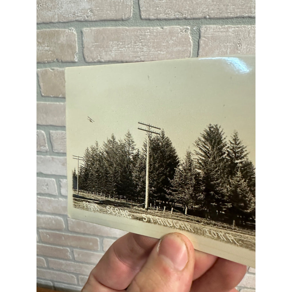 Park Scene In St. Ansgar Iowa Telephone Poles RPPC Real Photo Postcard