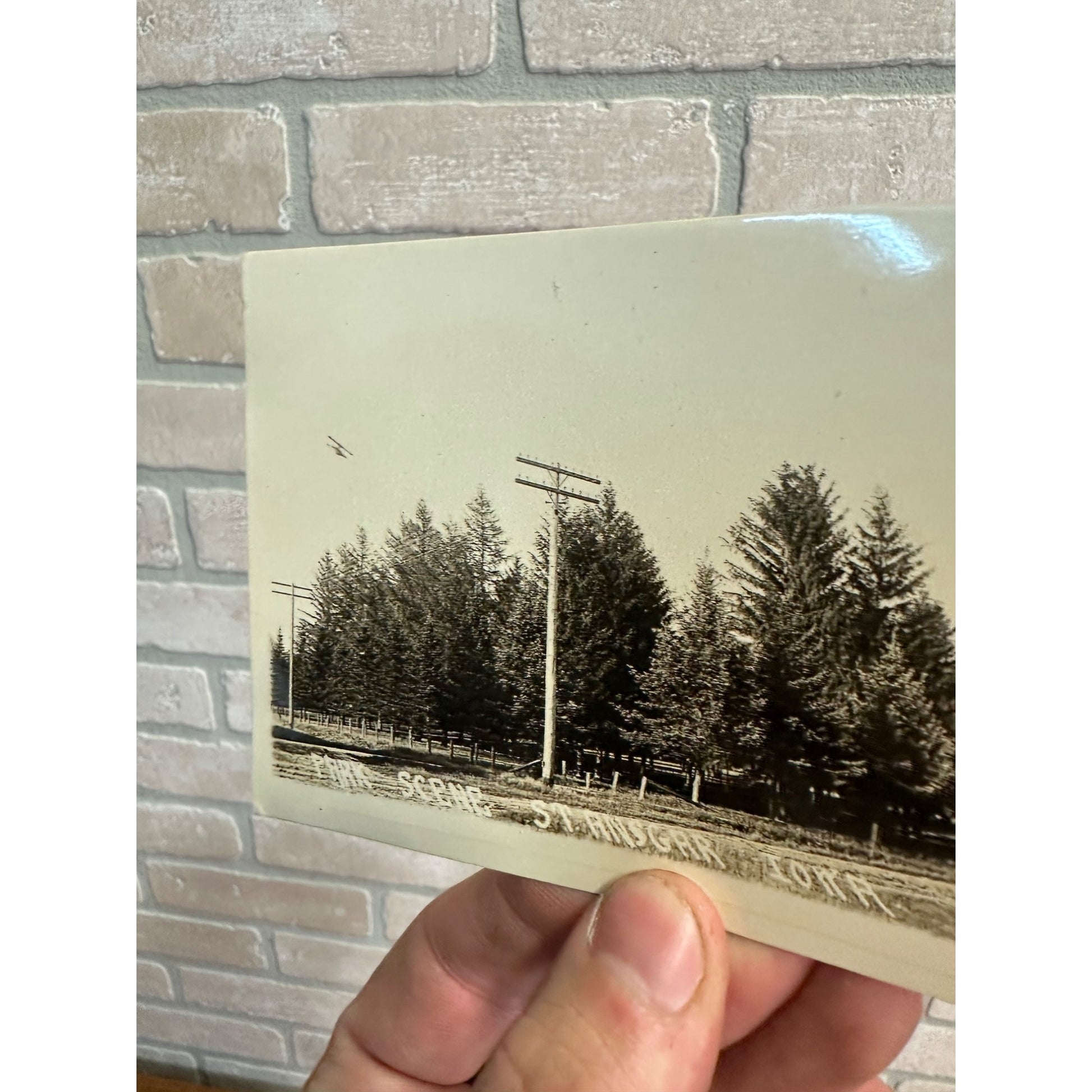 Park Scene In St. Ansgar Iowa Telephone Poles RPPC Real Photo Postcard
