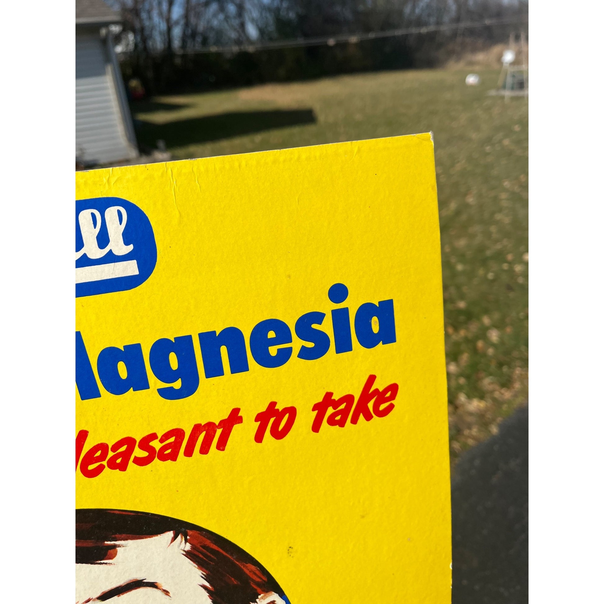 Vintage Rexall Milk Of Magnesia Cardboard Advertising Sign Store Display