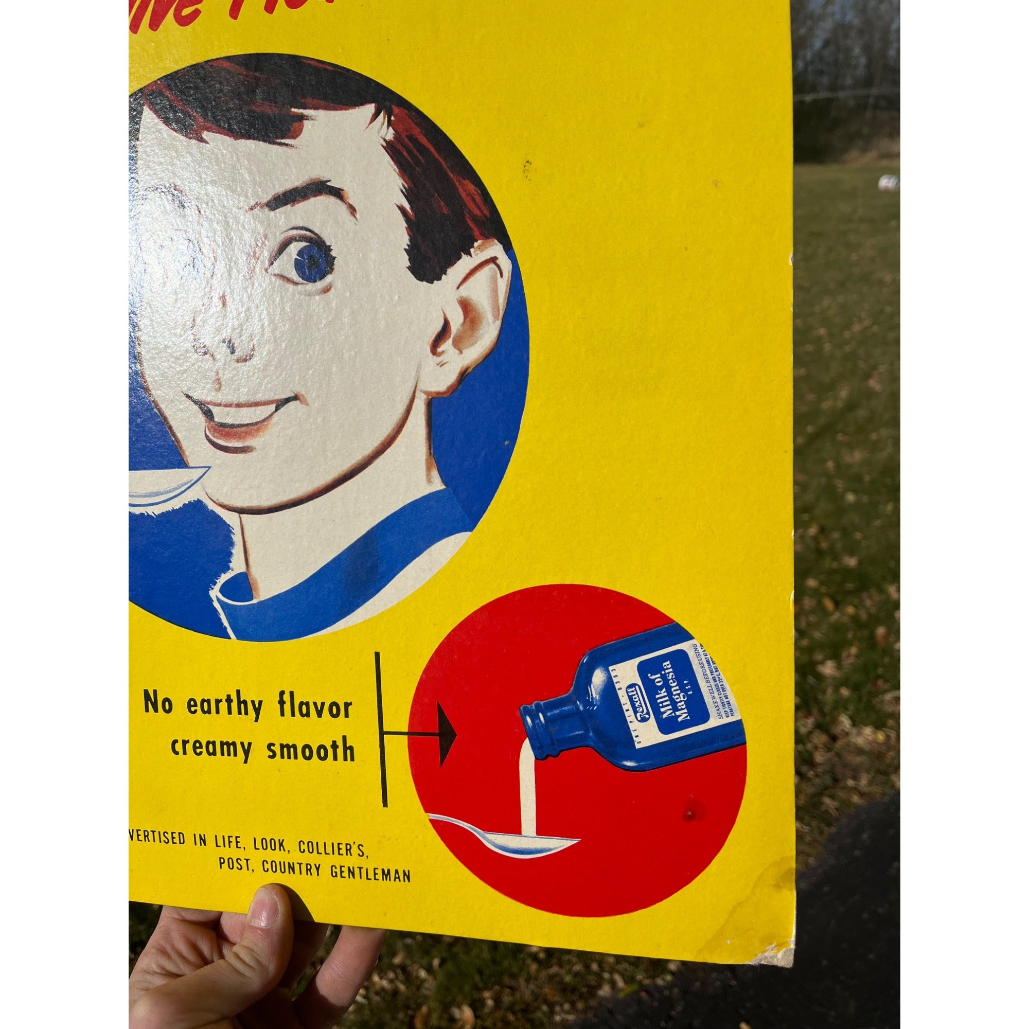 Vintage Rexall Milk Of Magnesia Cardboard Advertising Sign Store Display