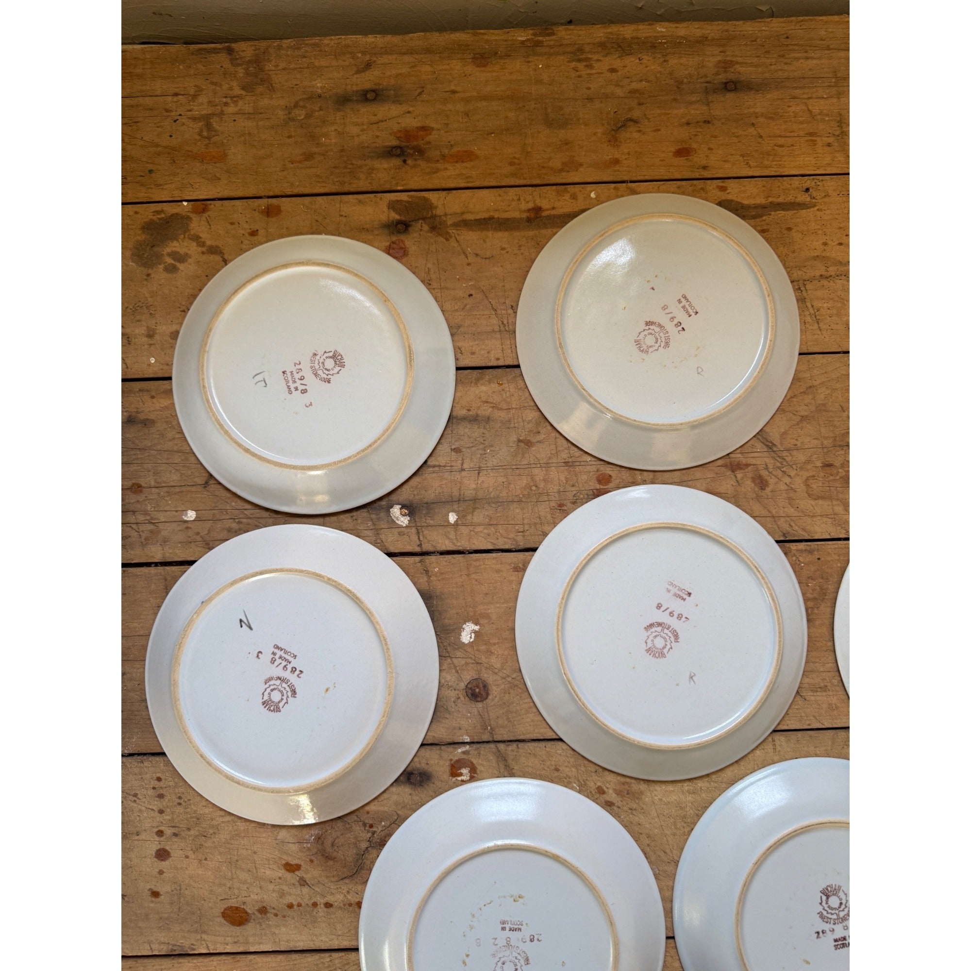 Buchan Thistle Serving Scotland Stoneware Pottery (8) 8" Salad Plates