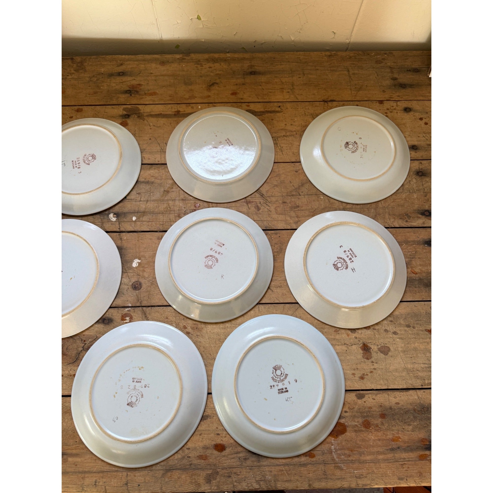 Buchan Thistle Serving Scotland Stoneware Pottery (8) 8" Salad Plates