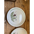 Buchan Thistle Serving Scotland Stoneware Pottery (8) 8" Salad Plates