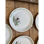 Buchan Thistle Serving Scotland Stoneware Pottery (8) 8" Salad Plates