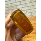 Antique Quack Medicine Chief White Horse Liniment Bottle Madison Wisconsin Wis