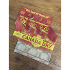 Vintage 1940s Canada Dry Beverages Soda Bottle Carton 6 Pack Carrier