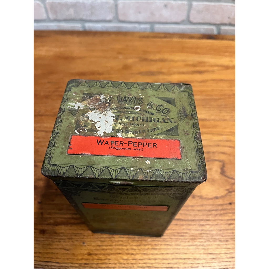 Vintage Parke Davis Advertising Tin Apothecary Pharmacy Botanic Drugs Pepper