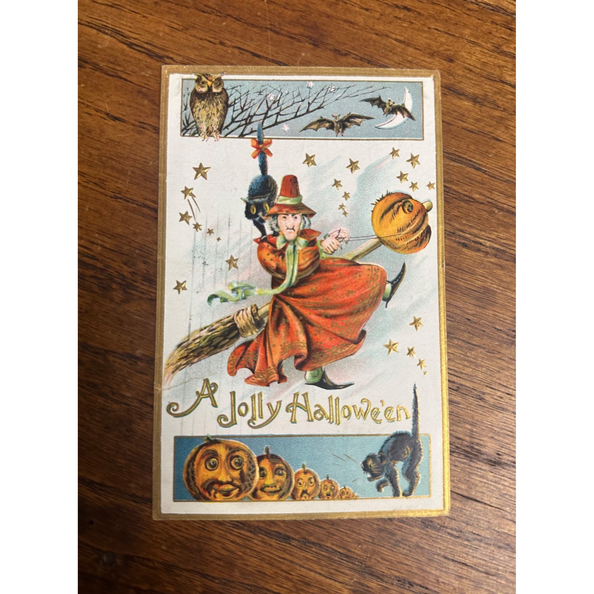 Halloween Postcard Gottschalk Witch Anthropomorphic Pumpkins Cats Owl Bats 2040A