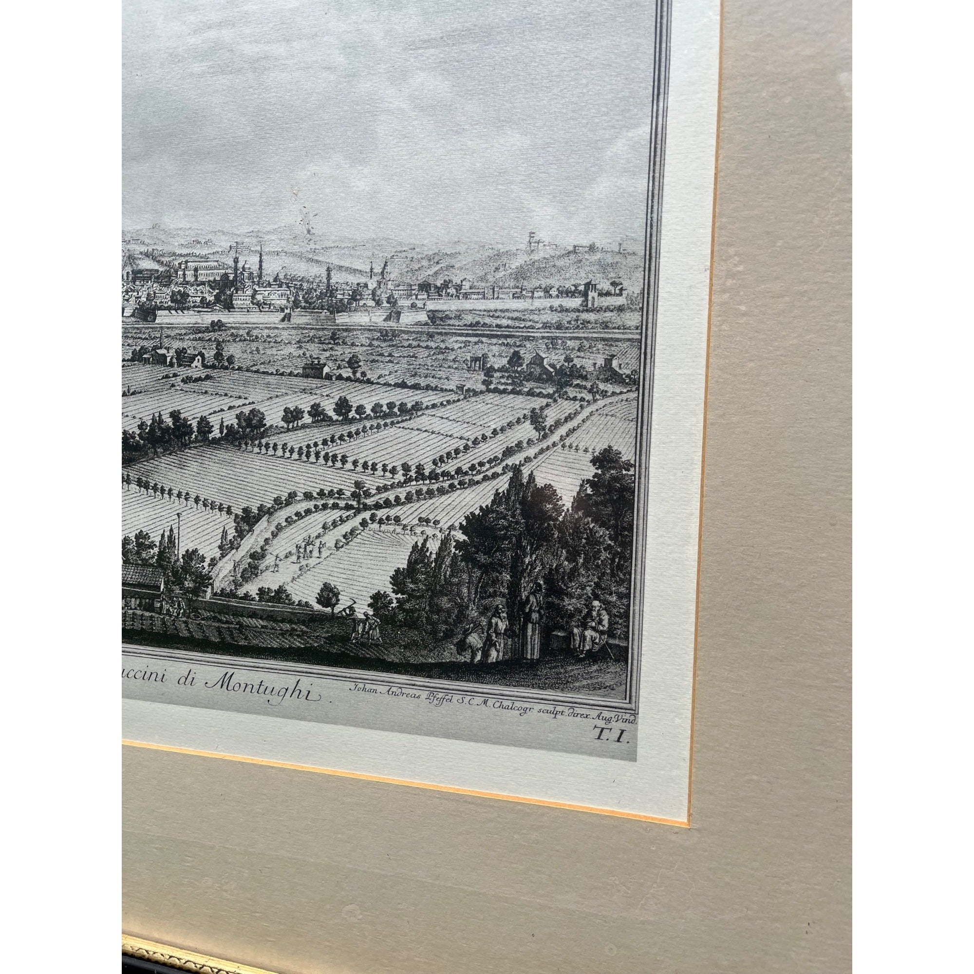 Vintage Framed Florence Italy Panorama Print | Firenze Engraving | European Landscape Art
