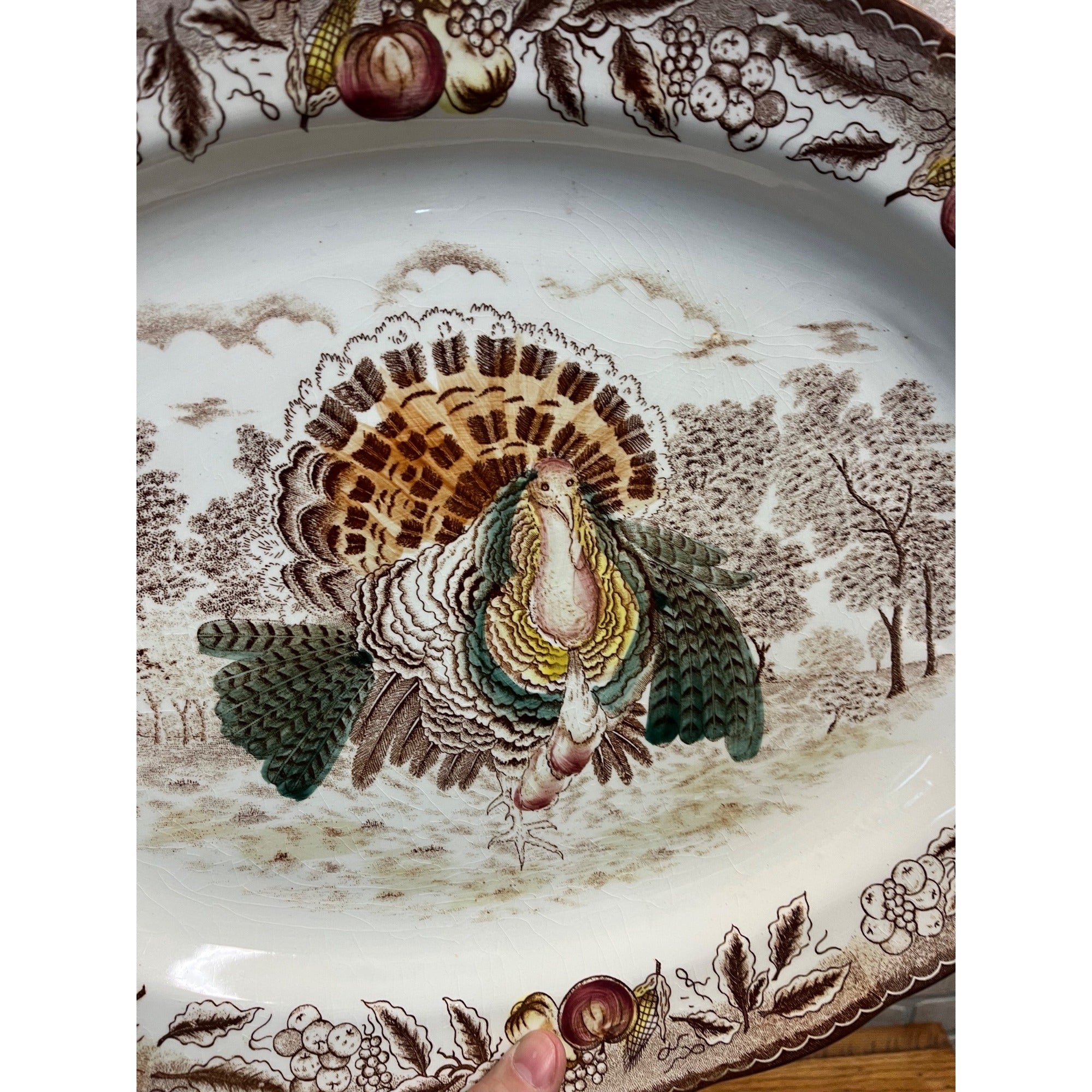 Large Vintage Turkey Platter Porcelain China 18.5" by 14"