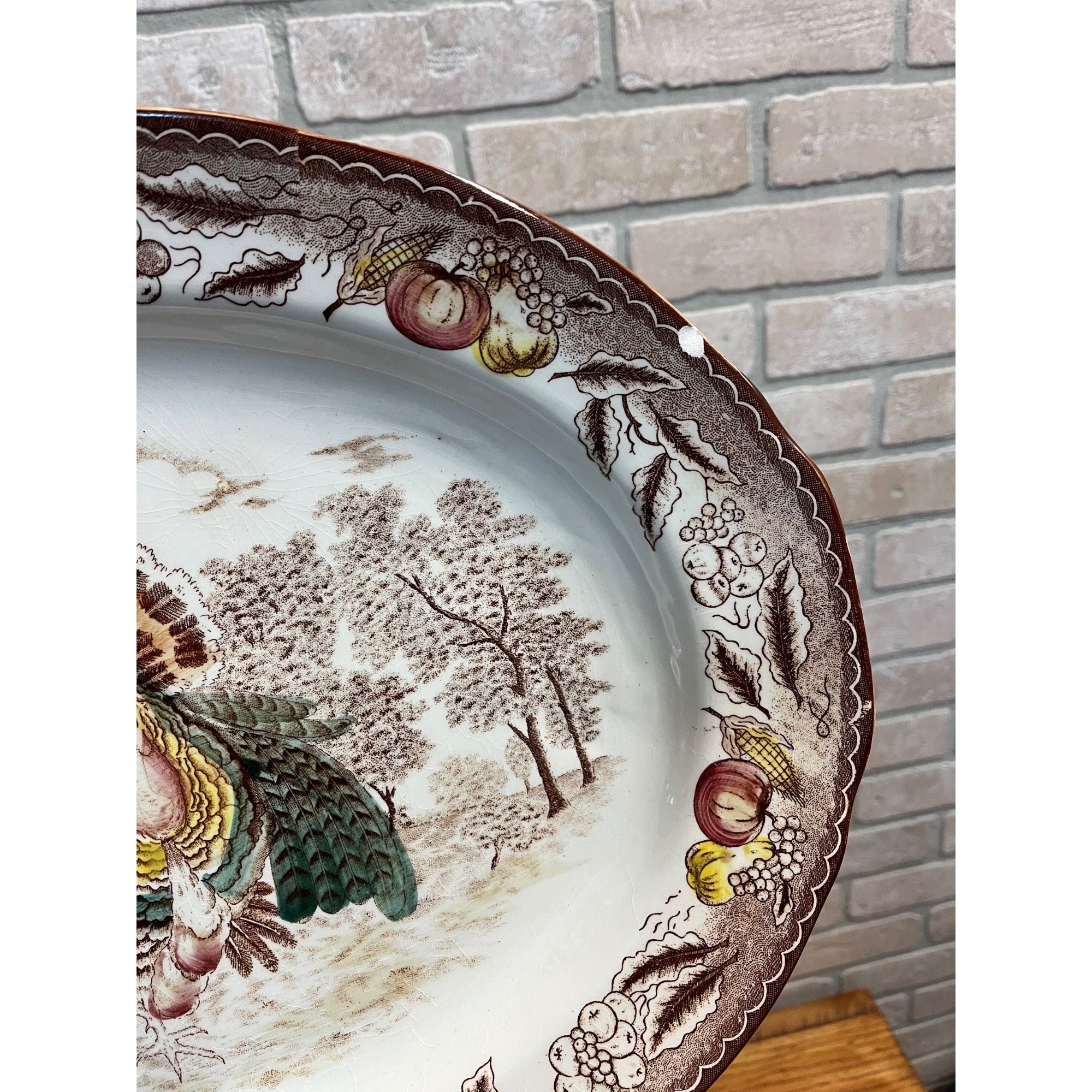 Large Vintage Turkey Platter Porcelain China 18.5" by 14"