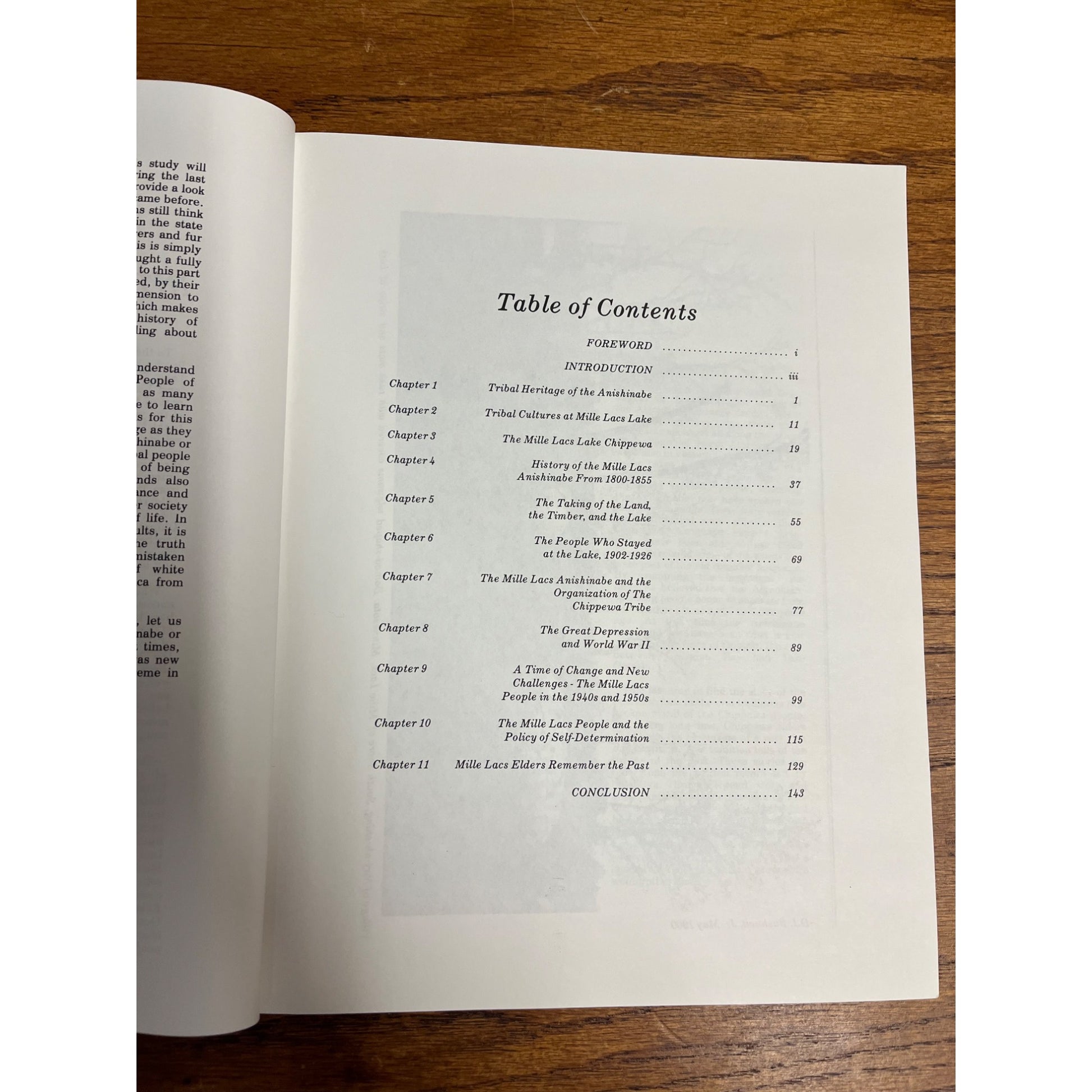 Against Tide of American History: The Story of Mille Lacs Anishinabe (1985) Book