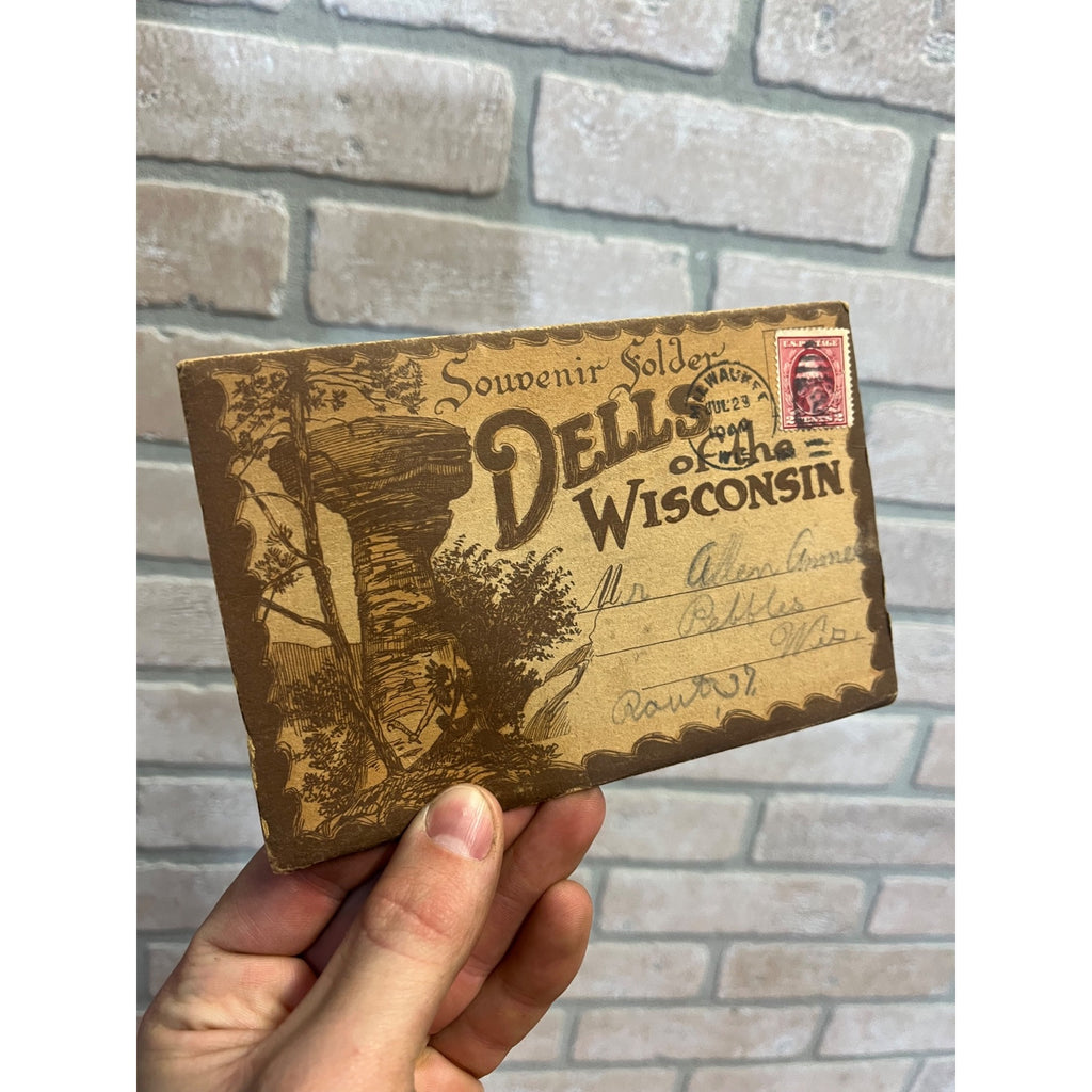 Vintage The Dells Of The Wisconsin River Souvenir Postcard Views Folder Fold-Out