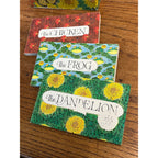 Ed Emberley's 3 Science Flip Books/6 Nature Adventures 1982 Pbs in Sc 1 St Ed