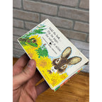 Ed Emberley's 3 Science Flip Books/6 Nature Adventures 1982 Pbs in Sc 1 St Ed