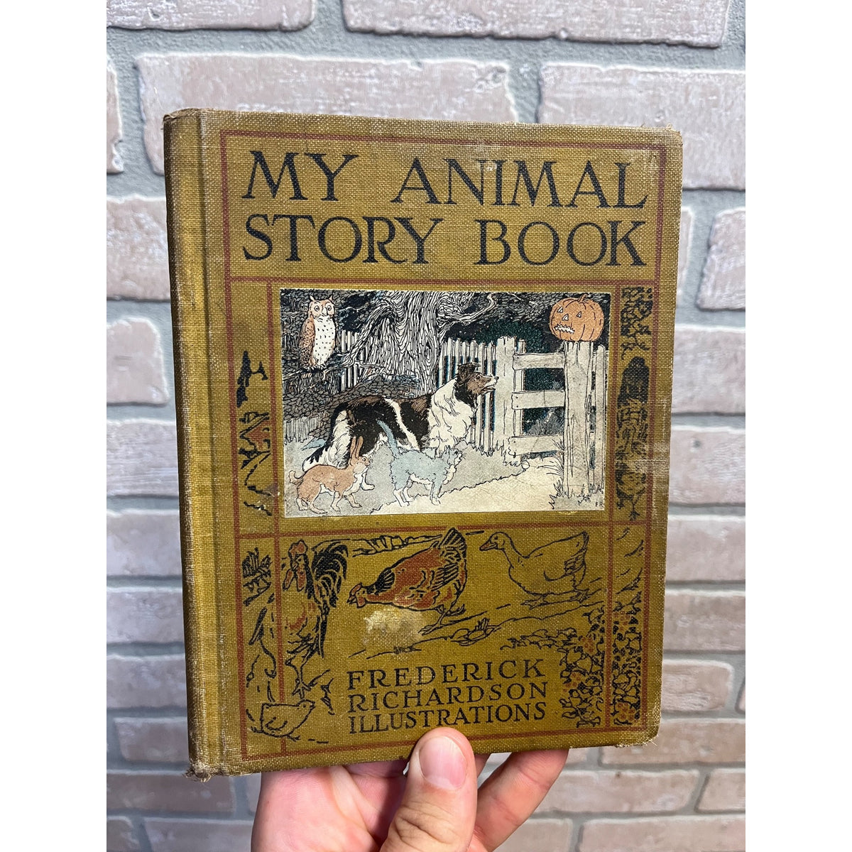 1923 My Animal Story Book Treasury Frederick Richardson 1st Ed. Halloween Hardcover Children's Literature