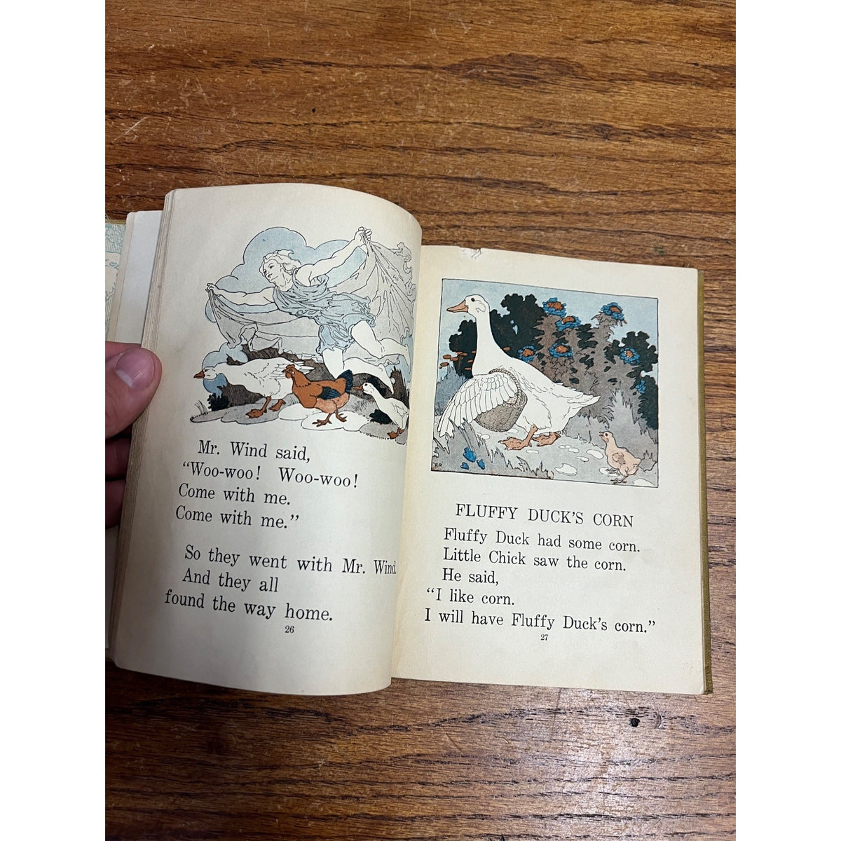 1923 My Animal Story Book Treasury Frederick Richardson 1st Ed. Halloween Hardcover Children's Literature