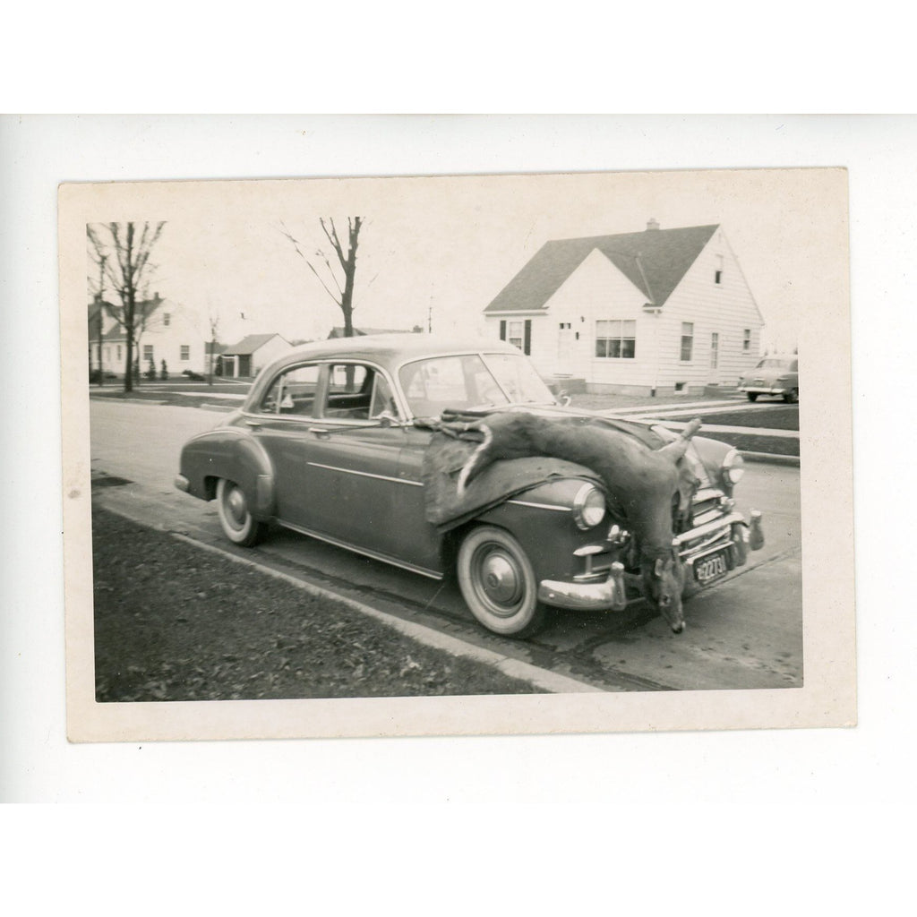 1950s Chevrolet 4‑door sedan Original Photo Deer Hunting Wisconsin Tag License Plate