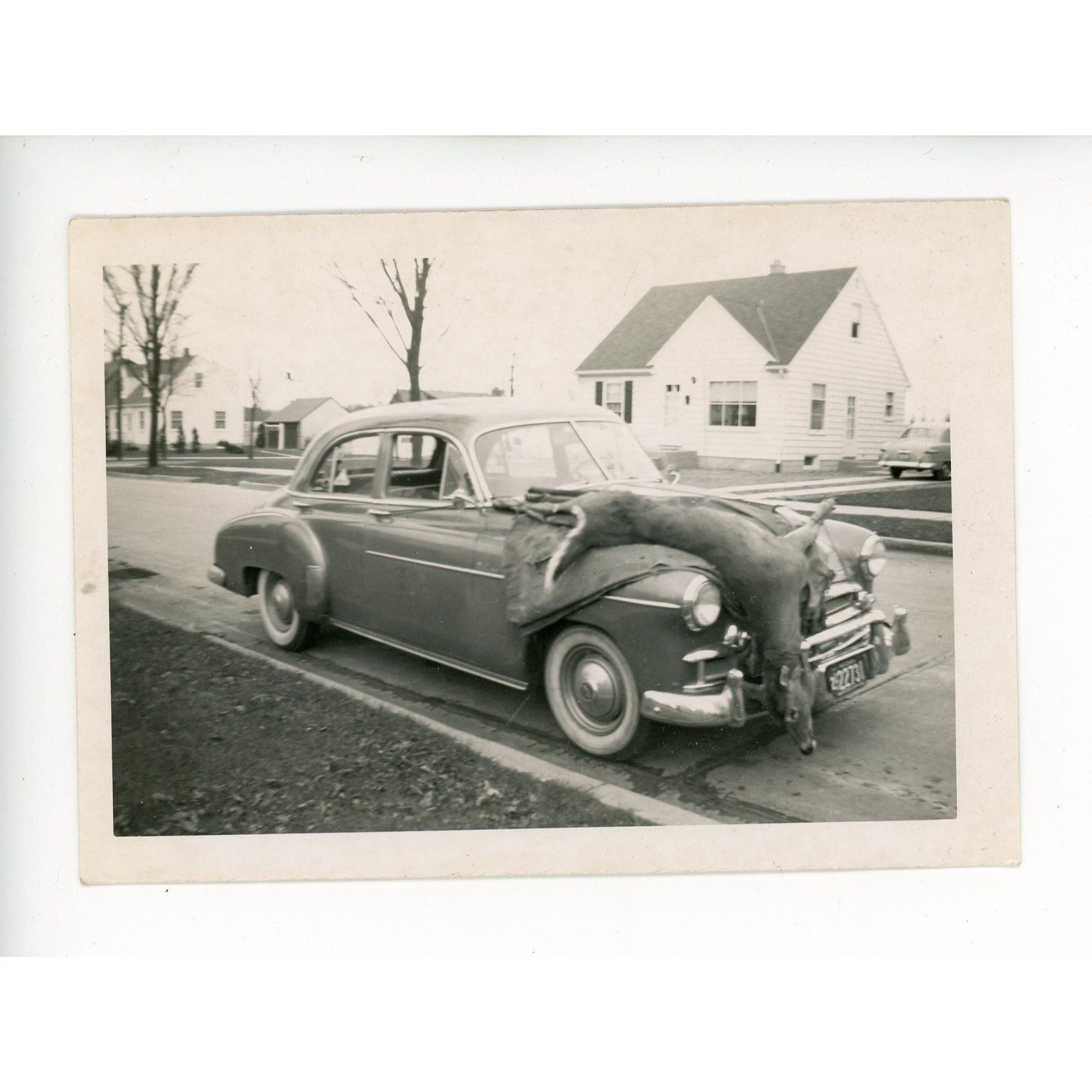 1950s Chevrolet 4‑door sedan Original Photo Deer Hunting Wisconsin Tag License Plate