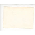 1950s Chevrolet 4‑door sedan Original Photo Deer Hunting Wisconsin Tag License Plate
