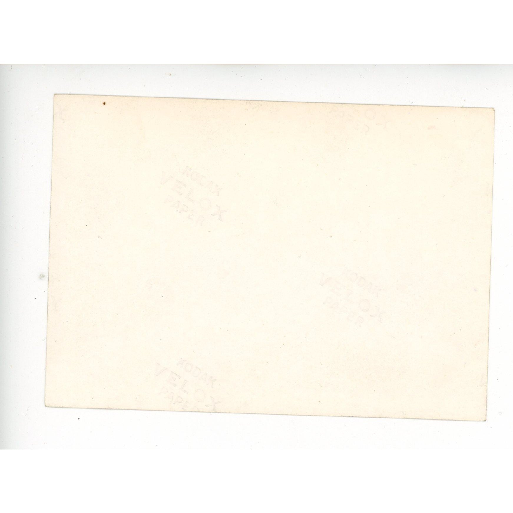 1950s Chevrolet 4‑door sedan Original Photo Deer Hunting Wisconsin Tag License Plate