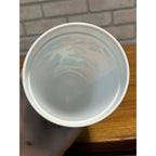 Vintage 1980s Coca Cola Wisconsin 4-Season Vactionland Souvenir Plastic Cup