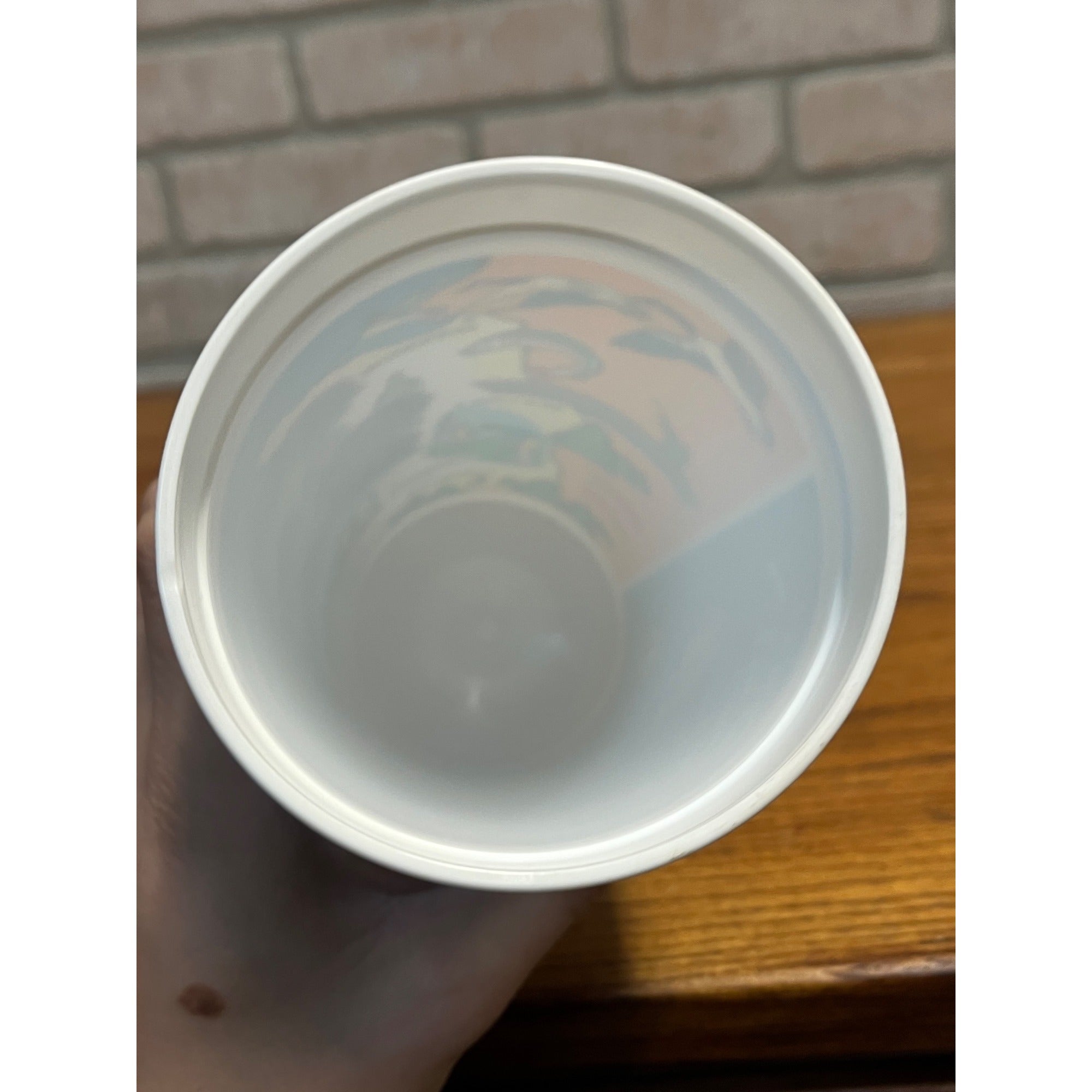 Vintage 1980s Coca Cola Wisconsin 4-Season Vactionland Souvenir Plastic Cup